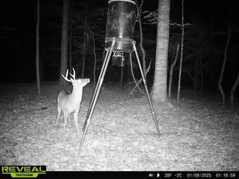 781 Ebenezer Rd, Fayette, MS 39069 photo 9