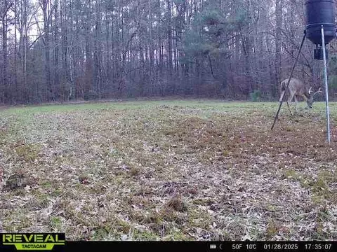 781 Ebenezer Rd, Fayette, MS 39069 photo 16