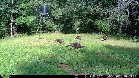 781 Ebenezer Rd, Fayette, MS 39069 photo 4