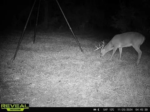 781 Ebenezer Rd, Fayette, MS 39069 photo 35