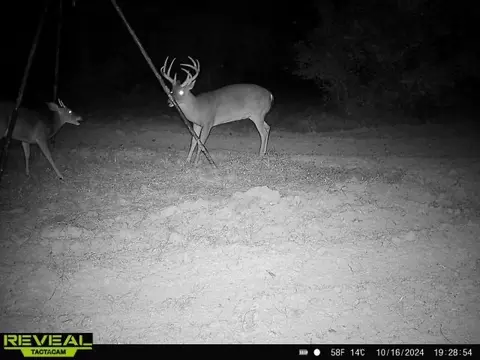 781 Ebenezer Rd, Fayette, MS 39069 photo 34