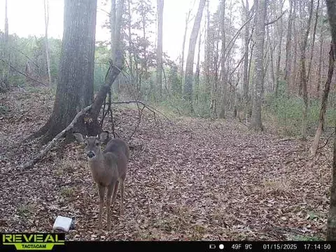781 Ebenezer Rd, Fayette, MS 39069 photo 18