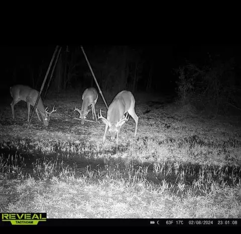 781 Ebenezer Rd, Fayette, MS 39069 photo 27