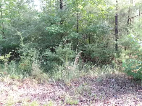 00 George Bennett Roadrankin Rd, Sontag, MS 39665 photo 6