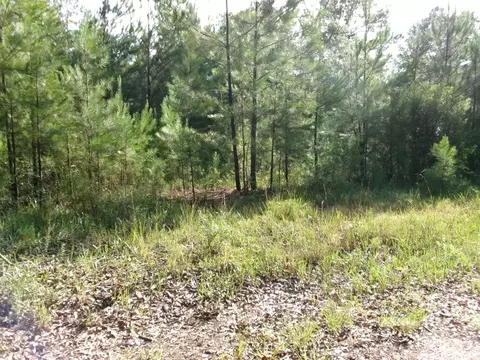 00 George Bennett Roadrankin Rd, Sontag, MS 39665