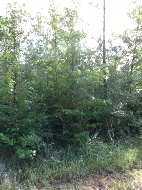 00 George Bennett Roadrankin Rd, Sontag, MS 39665 photo 7