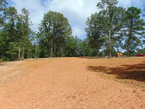 1005 Tarver Ln, Wesson, MS 39191 photo 5