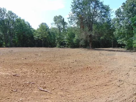 1005 Tarver Ln, Wesson, MS 39191 photo 2