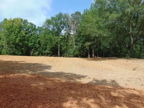 1005 Tarver Ln, Wesson, MS 39191 photo 10