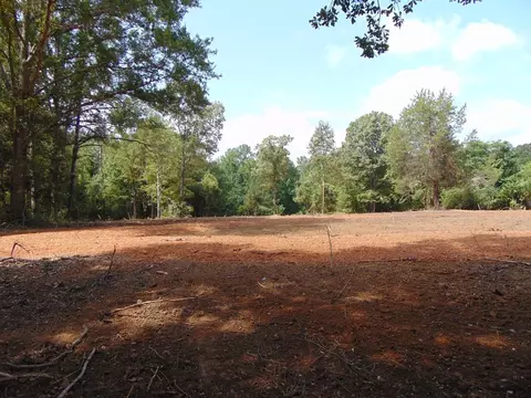 1005 Tarver Ln, Wesson, MS 39191 photo 18