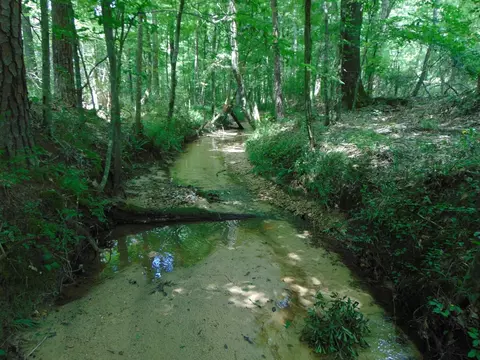 1005 Tarver Ln, Wesson, MS 39191 photo 7