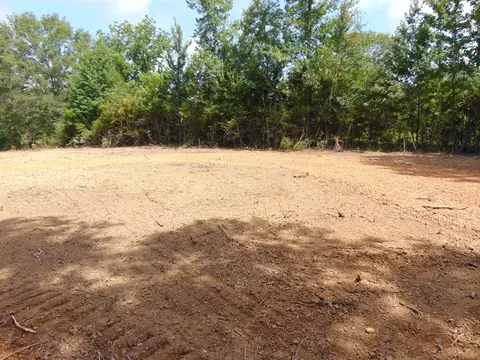 1005 Tarver Ln, Wesson, MS 39191 photo 17