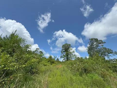 0 Off Hutson Morris Rd, Columbia, MS 39429