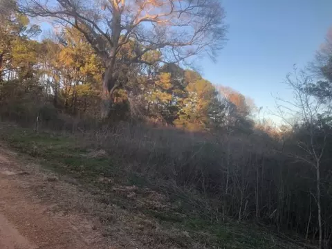 tbd Integrity Rd Lot #3, Mccomb, MS 39648 photo 5