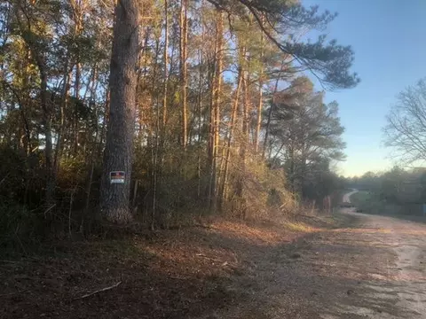 tbd Integrity Rd Lot #3, Mccomb, MS 39648