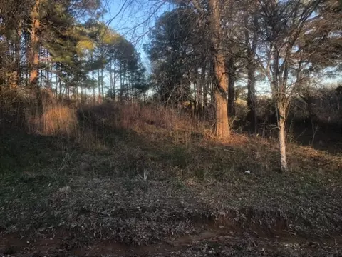tbd Integrity Rd Lot #3, Mccomb, MS 39648 photo 3