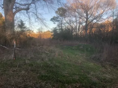 tbd Integrity Rd Lot #4, Mccomb, MS 39648 photo 4
