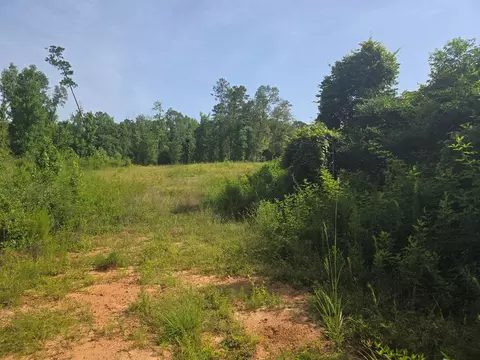 000 Browder Ln, Centreville, MS 39631