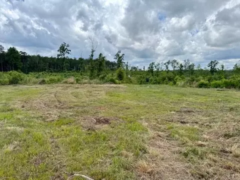 00 Dewitt Ln, Bogalusa, LA 70427
