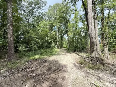 00 King Rd, Wesson, MS 39191 photo 5