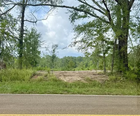 00 King Rd, Wesson, MS 39191 photo 2