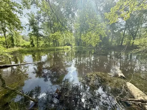 00 King Rd, Wesson, MS 39191 photo 19