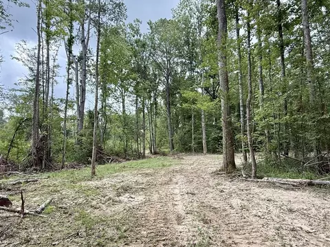 00 King Rd, Wesson, MS 39191 photo 6