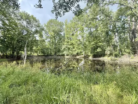 00 King Rd, Wesson, MS 39191 photo 20