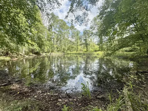 00 King Rd, Wesson, MS 39191 photo 21