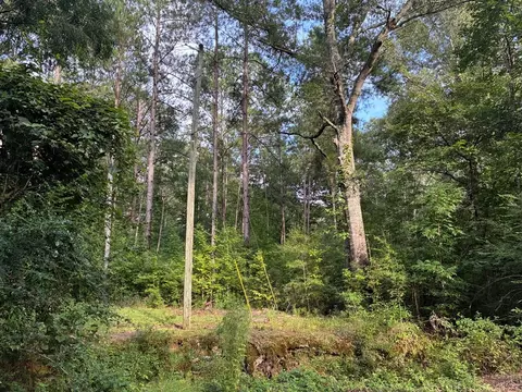 3352 Mound Rd NE # A, Wesson, MS 39191 photo 8