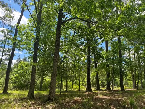 3352 Mound Rd NE # A, Wesson, MS 39191 photo 2