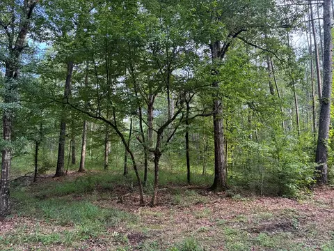3352 Mound Rd NE # A, Wesson, MS 39191
