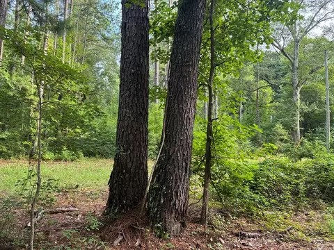 3352 Mound Rd NE # A, Wesson, MS 39191 photo 4