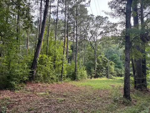 3352 Mound Rd NE # A, Wesson, MS 39191 photo 6