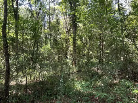 tbd Shell Oil Roadriver Rd N, Summit, MS 39666 photo 5