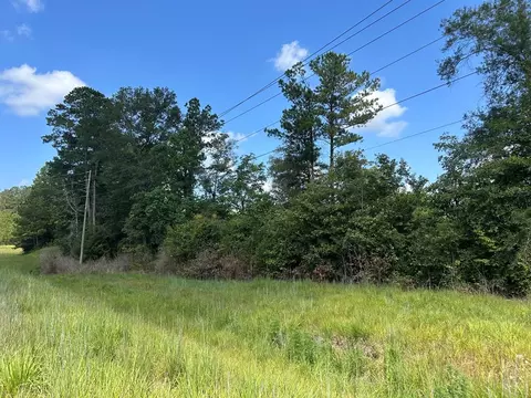 tbd Hwy 570river Road N Shell Oil Rd, Summit, MS 39666 photo 11