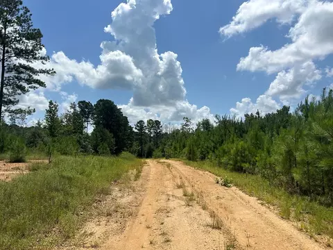 tbd Hwy 570river Road N Shell Oil Rd, Summit, MS 39666 photo 5