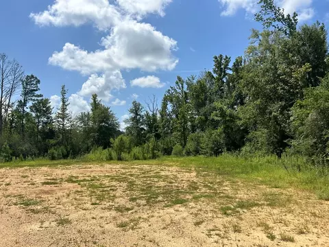 tbd Hwy 570river Road N Shell Oil Rd, Summit, MS 39666 photo 4