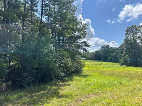 tbd Hwy 570river Road N Shell Oil Rd, Summit, MS 39666 photo 7