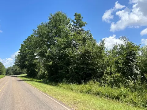 tbd Hwy 570river Road N Shell Oil Rd, Summit, MS 39666 photo 6