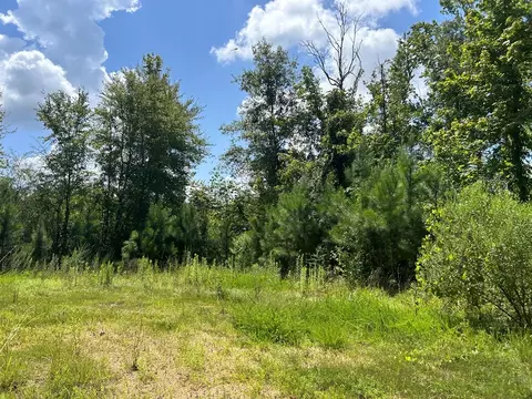 tbd Hwy 570river Road N Shell Oil Rd, Summit, MS 39666 photo 3