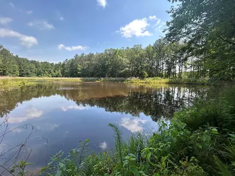 280 Tracie Rd, Carthage, MS 39051