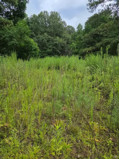 3157 Us-98, Mccomb, MS 39648 photo 8