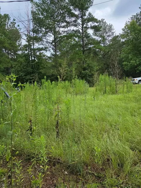 3157 Us-98, Mccomb, MS 39648 photo 5