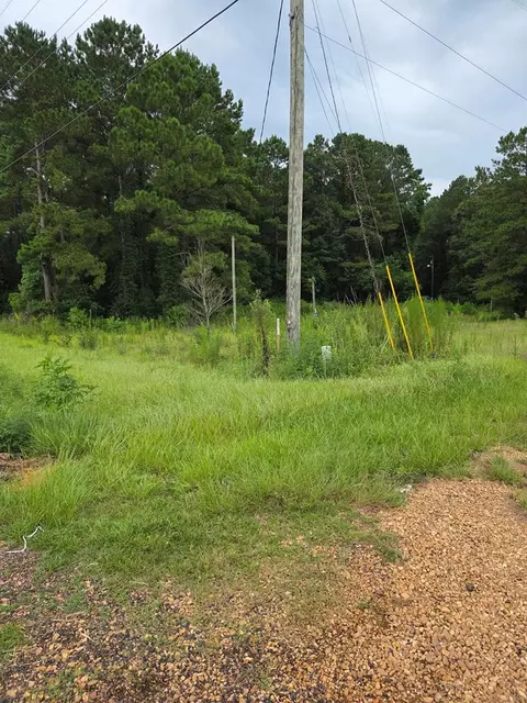3157 Us-98, Mccomb, MS 39648 photo 15