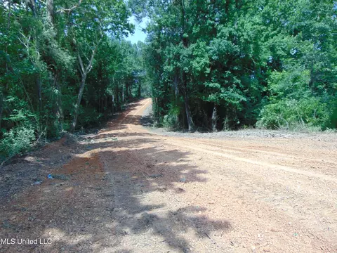1015 Tarver Ln, Wesson, MS 39191 photo 17