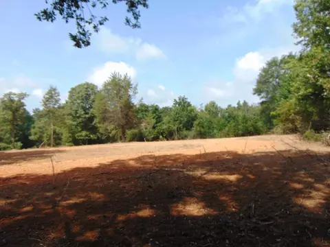 1015 Tarver Ln, Wesson, MS 39191