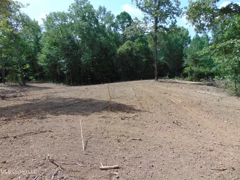1015 Tarver Ln, Wesson, MS 39191 photo 13