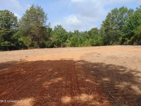 1015 Tarver Ln, Wesson, MS 39191 photo 5