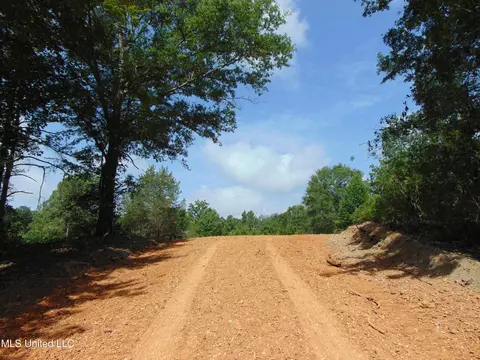 1015 Tarver Ln, Wesson, MS 39191 photo 2